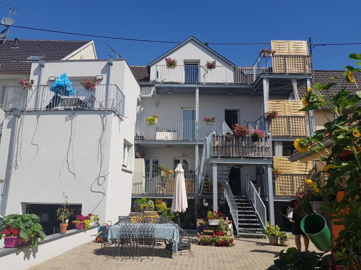 Au Gre De L'Ill 'L'Ill' Apartman Horbourg Kültér fotó