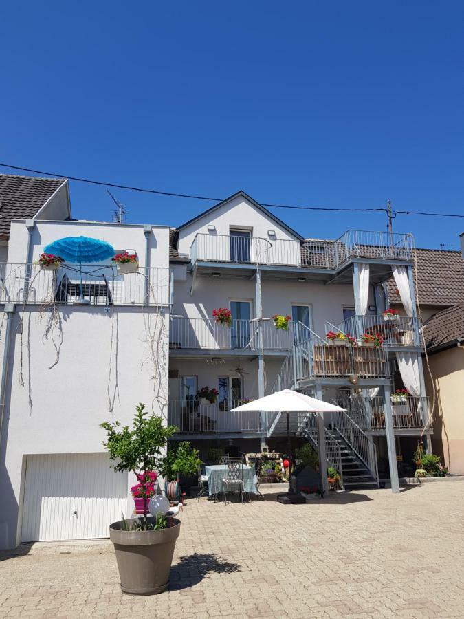 Au Gre De L'Ill 'L'Ill' Apartman Horbourg Kültér fotó